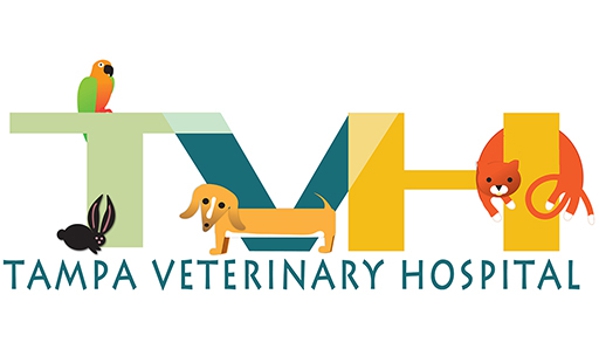 Tampa Veterinary Hospital - Tampa, FL