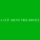 A Cut Above Tree Service