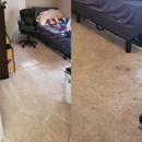 Sky House & Carpet Cleaning - Carpet & Rug Cleaners