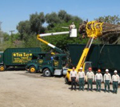 Tom Day Tree Service - Upland, CA