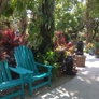 Living Color Garden Center - Fort Lauderdale, FL