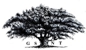Genealogical Society NT - Genealogy