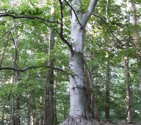 Potomac Overlook Regional Park - Arlington, VA