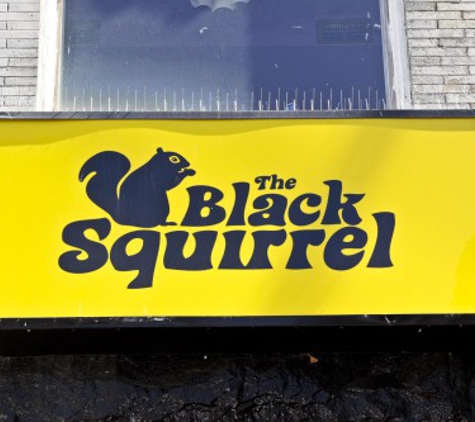 The Black Squirrel - Washington, DC
