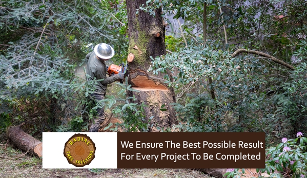 Radial Tree Solutions - Leongatha, VIC. We Ensure The Best Possible Result For Every Project To Be Completed