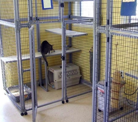 Badger Creek Kennels - Wilton, CA