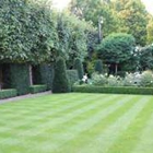 HB Lawn and Landscaping