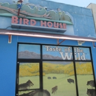 Bird House Dog House
