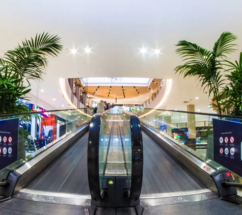 D&L Indoor Plant Hire & Garden Maintenance - Shell Cove, NSW