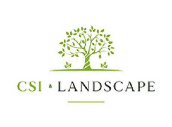 CSI Landscape