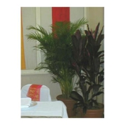 Gallery Image Number 2