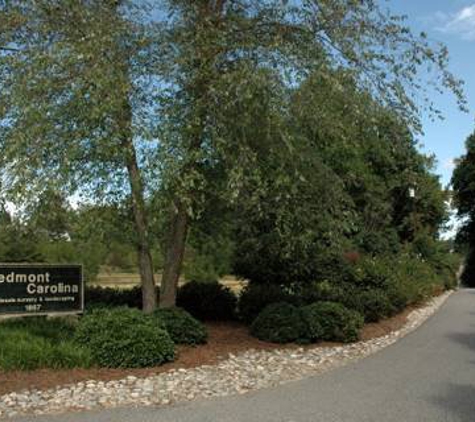 Piedmont Carolina Landscaping - Colfax, NC