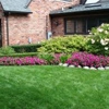 Green Planet Landscaping & Painting gallery