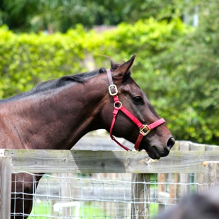 Star Stables Miami - Miami, FL