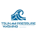 Tsunami pressure washing - Gutters & Downspouts