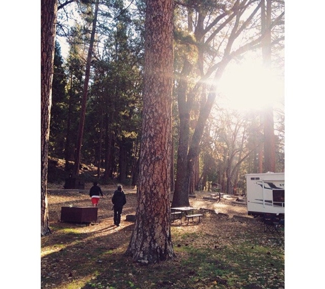 Camp Wawona - Yosemite National Park, CA