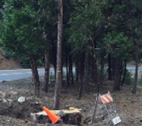 Poseidon Valley Tree Service - Running Springs, CA