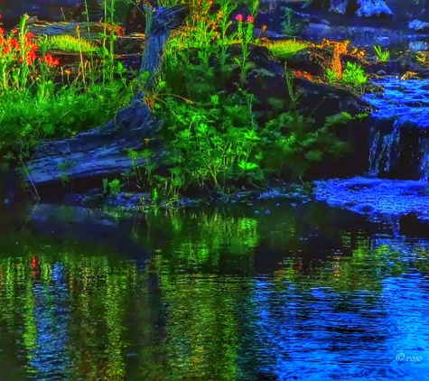 Ponds by Biologists - West Linn, OR