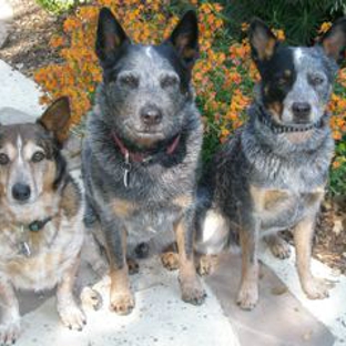 Canine Academy - Atascadero, CA