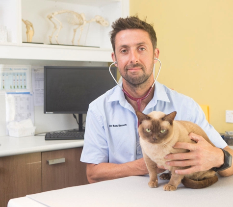 Sydney Animal Hospitals - Newport, NSW