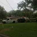 Big T's Lawn Care - Landscaping & Lawn Services