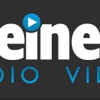 Steiners Electronics gallery