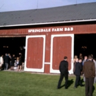 Springdale Farm Bed & Breakfast