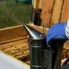 Patriot pest solutions gallery