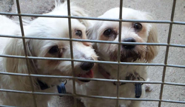 Homebush Boarding Kennels & Cattery - Homebush, QLD