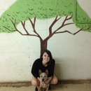 Pup Scouts /Dog Sitting - Pet Boarding & Kennels