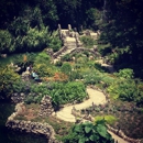 Japanese Tea Gardens - Botanical Gardens