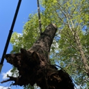 Cowart Tree Service LLC - Tree Service