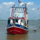 Captain Ron's Shrimp and Crab