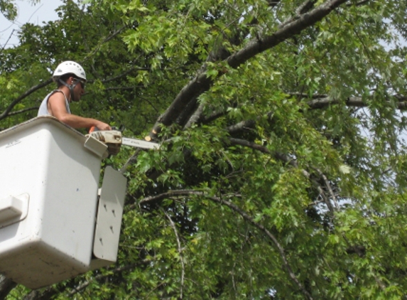 tree care services - upper marlboro, MD