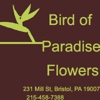 Bird of Paradise Flowers gallery
