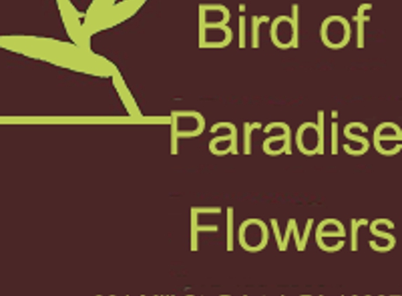 Bird of Paradise Flowers - Bristol, PA