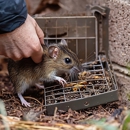 Atlantic Exterminating Inc - Pest Control Equipment & Supplies