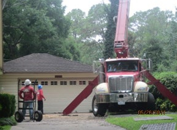 Champions Tree Preservation - Houston, TX