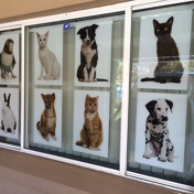 Gallery Image Number 6