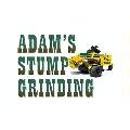 Adam's Stump Grinding, Tree Stump Removal - Tree Service