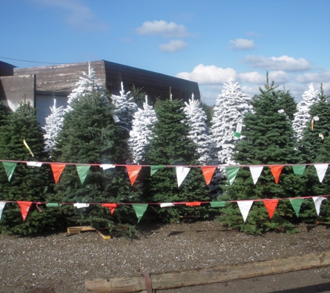 Kay Kringles Christmas Trees - Fresno, CA