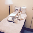 San Marin Animal Hospital - Veterinarians