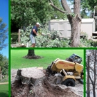 Kreft Tree Service