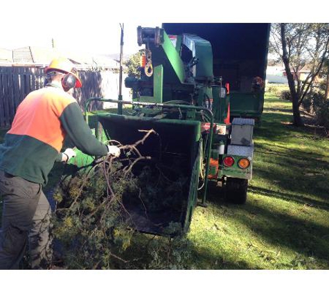 Adams Tree Services - St Leonards, TAS