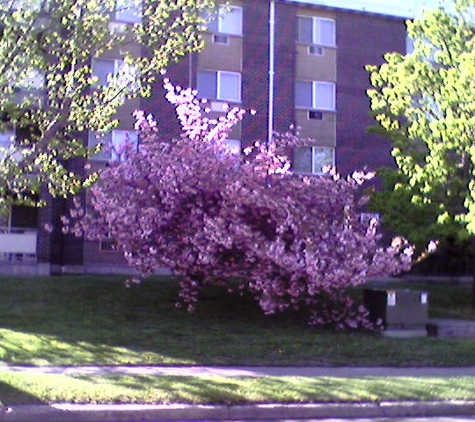 Crestwood Apartments - West Haven, CT