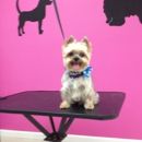 Happy Tails Dog Spa - Pet Services