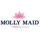Molly Maid of Norwood Foxboro & Greater Norfolk County - Building Cleaning-Exterior