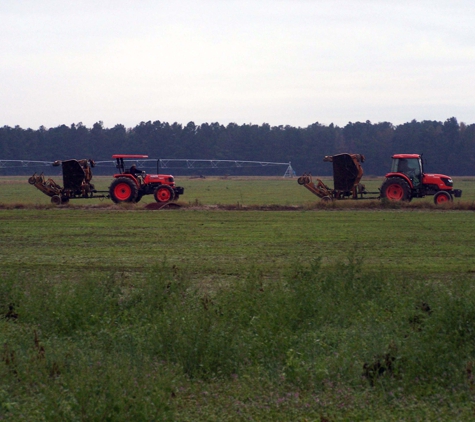 Snowhill Turf Farm - Fayetteville, NC