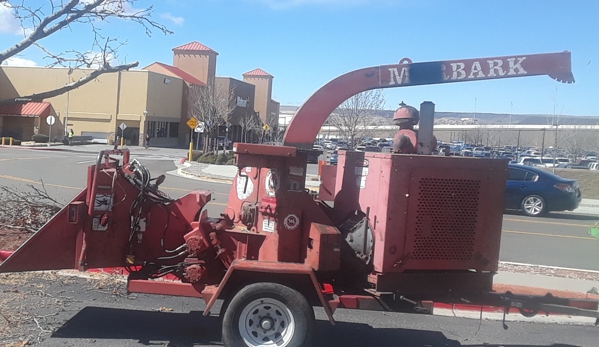 VJ Stars Tree Services - Albuquerque, NM