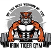 Iron Tiger Gym gallery